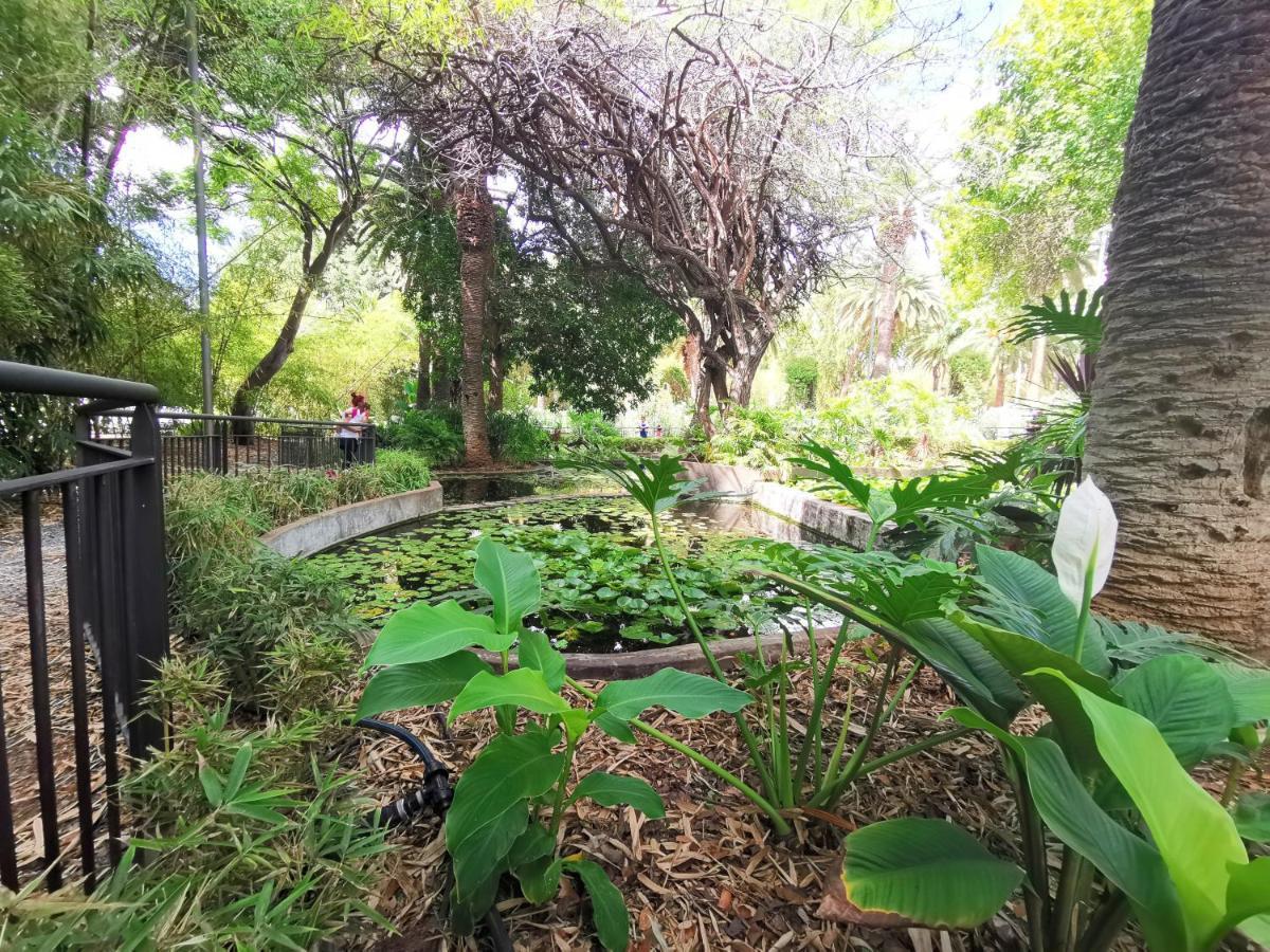 Home2Book Charming Center Apartment Santa Cruz Екстериор снимка